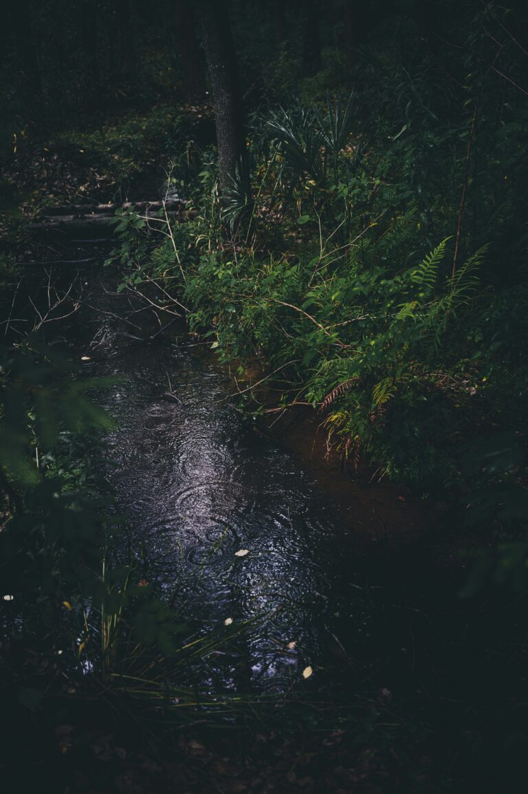 dong-xie-Me2xXl5Ny4g-unsplash