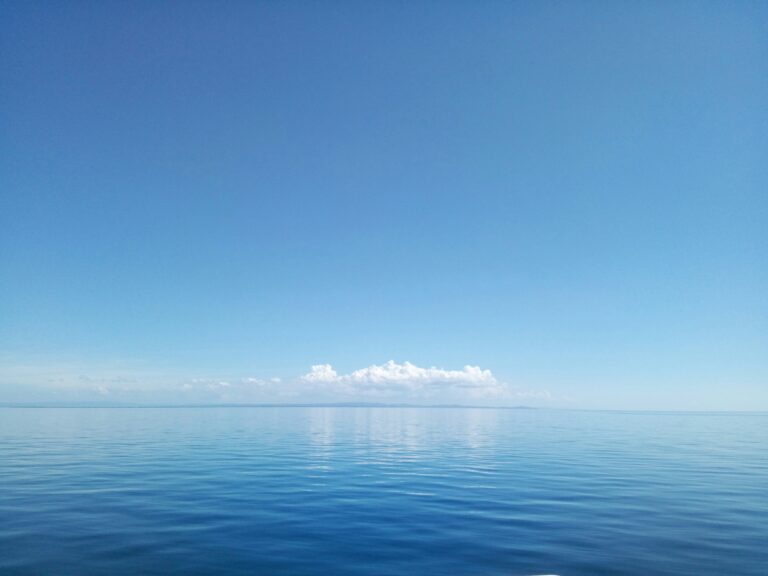 stella-mariz-abayhon-St6-y5WjeZk-unsplash